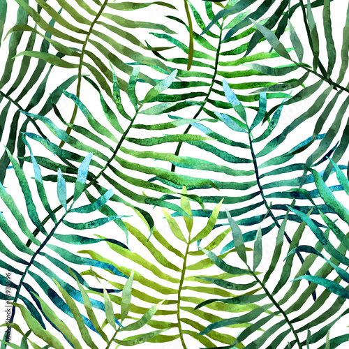 Fototapeta Naklejka Na Ścianę i Meble -  Tropics2