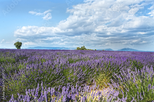 High Provence  Provence Alps C  te d Azur regions   France