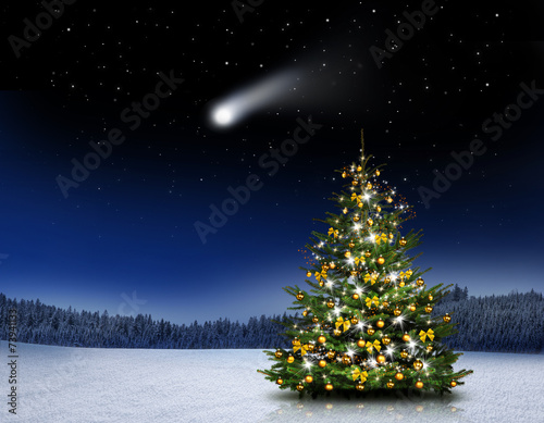 Glänzender Christbaum im Wald bei Nacht