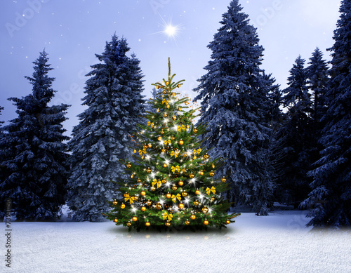 Glänzender Christbaum im Winterwald