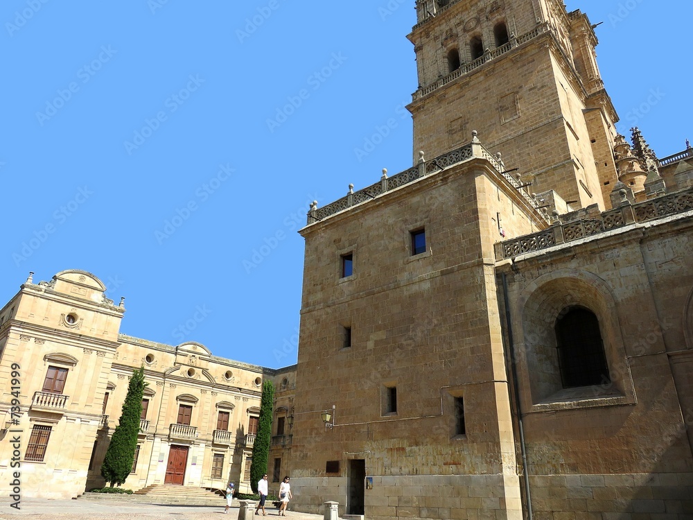 Fototapeta premium salamanca