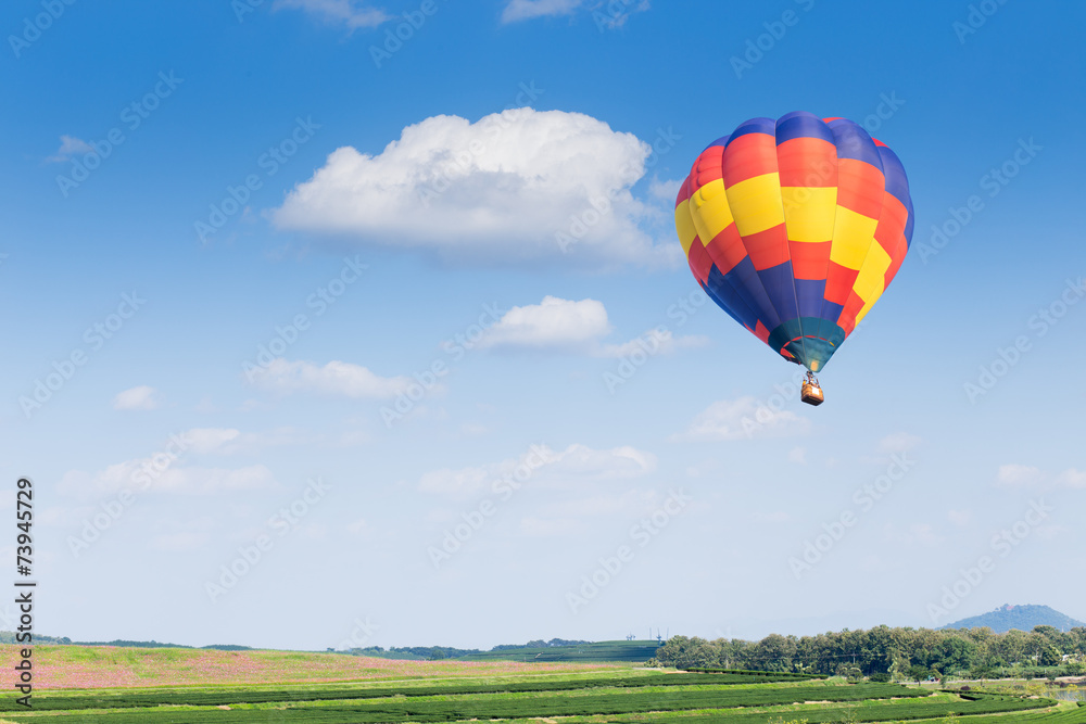 Fototapeta premium Hot air balloon over green fields
