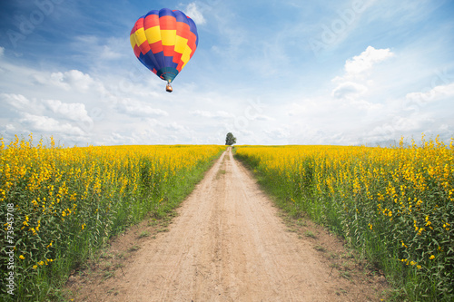 Hot air balloon over yellow flower fields