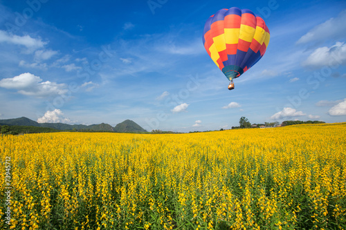 Hot air balloon over yellow flower fields
