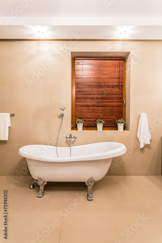 Old style bathtub