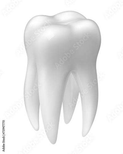 Vector molar tooth icon isolated on white
