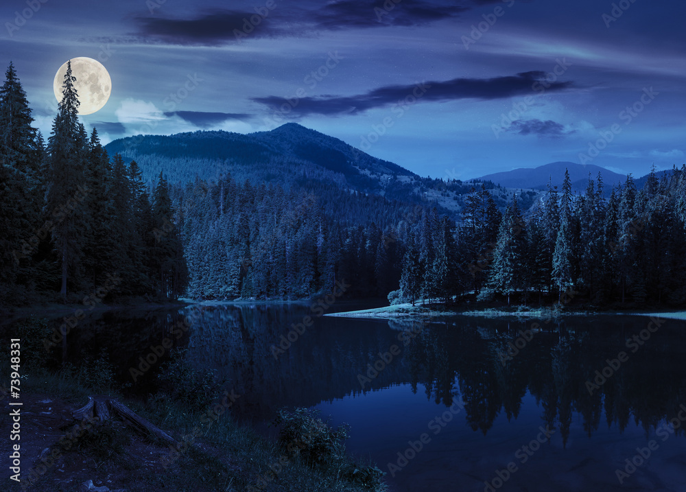 Obraz premium pine forest near the mountain lake at night