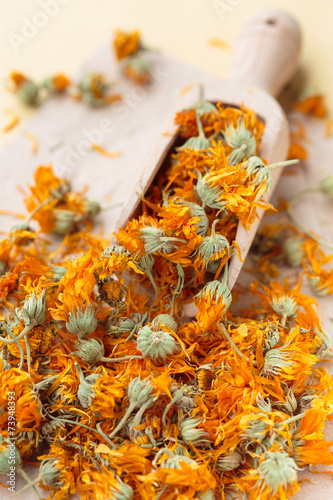 Marigold dried flowers in a scoop - calendula
