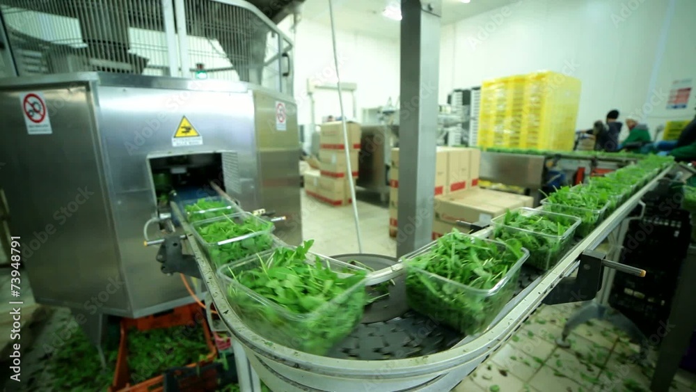 Macchine industriali, confezionatrice verdure