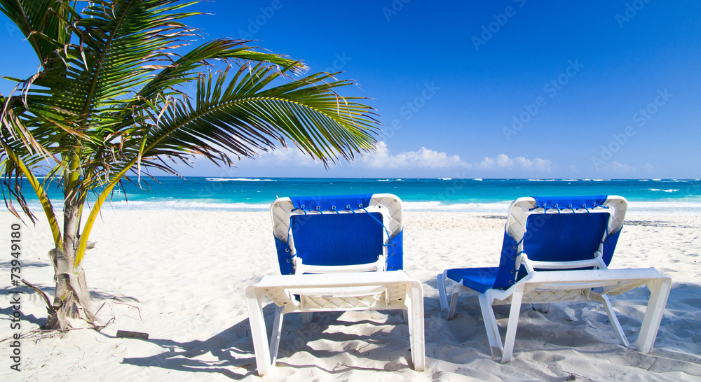 Beach chairs under palm