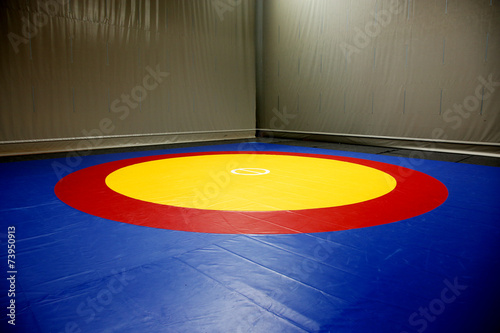 The wrestling mat