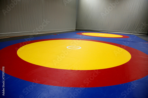 Canvas Print The wrestling mat