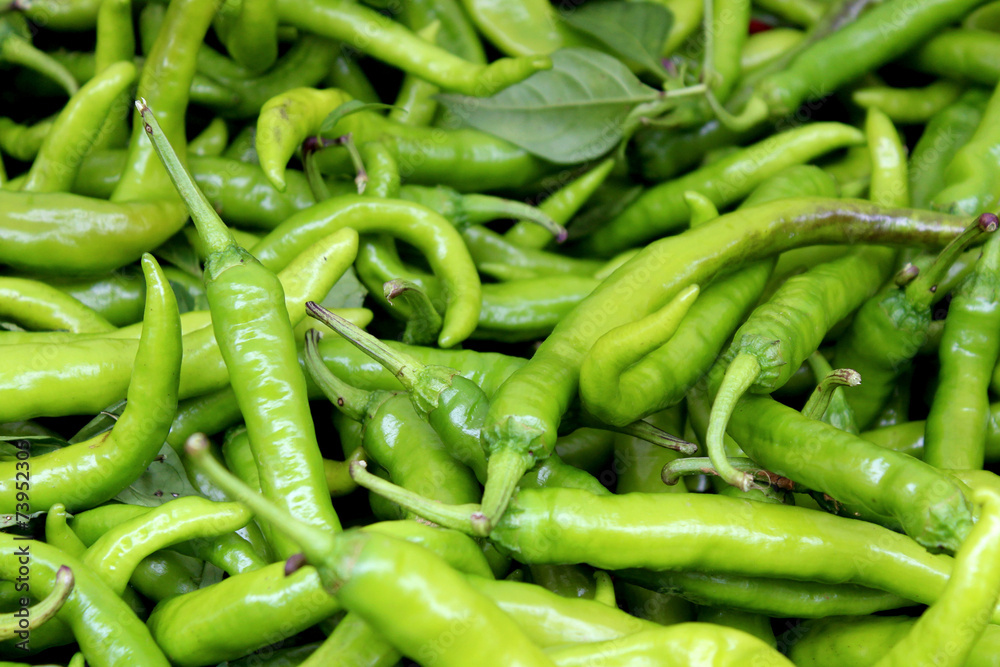 Fresh organic pepper background, photo taken at local farmers ma Fresh organic pepper background, photo taken at local farmers ma