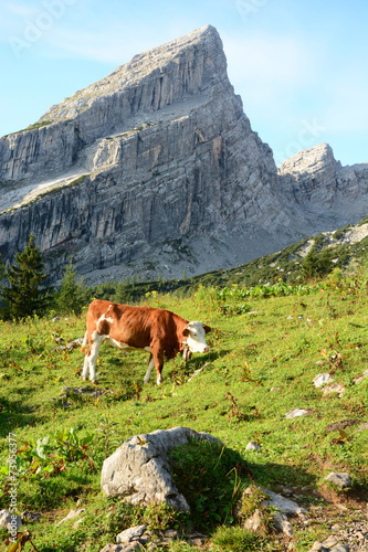 Watzmannfrau