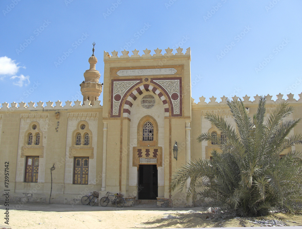 Fototapeta premium Egypte oasis de Siwa