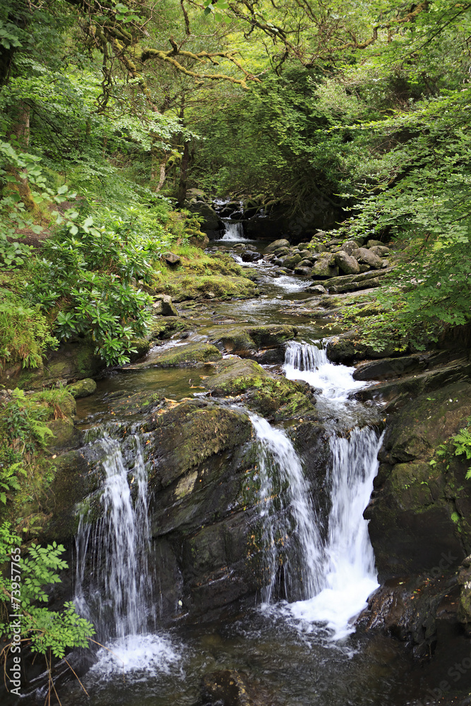 Torc Waterfall in Killarney National Park.