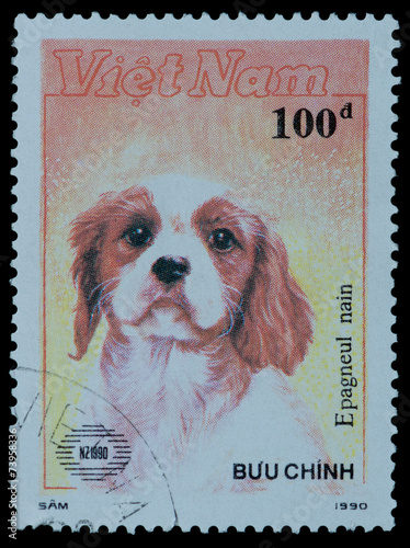 stamp series Buu Chinh