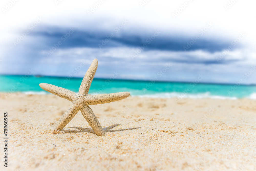 starfish on tropical sand beach and sea background starfish on tropical sand beach and sea background