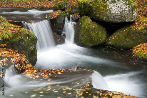 Fototapeta Naklejka Na Ścianę i Meble -  落ち葉と菊池渓谷の流れ