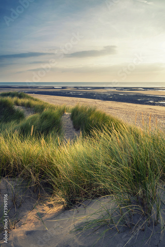 Summer evening landscape view over grassy sand dunes on beach wi © veneratio