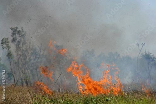 Fierce brushfire with smoke, Kakadu National Park