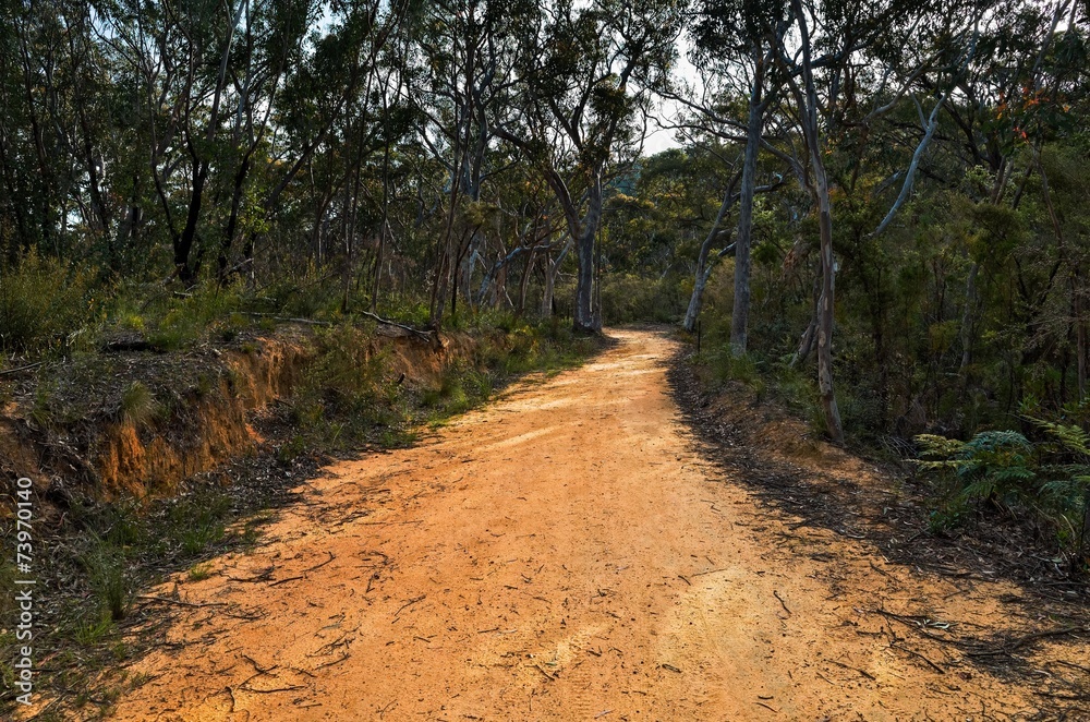 Fire trail in the Australian bush Fire trail in the Australian bush