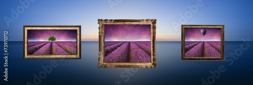 Conceptual image of lavende...