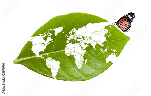 Butterfly on world map leaf