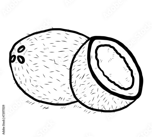 coconut