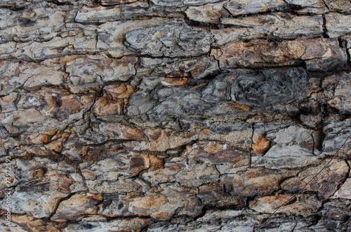 Old wood texture for web background