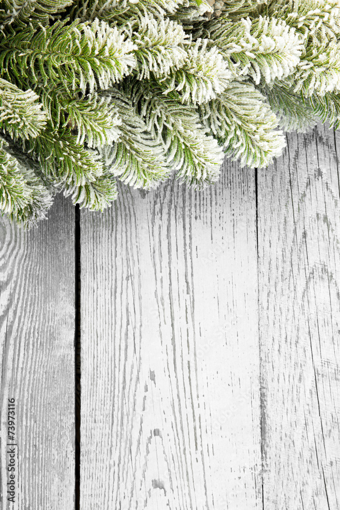 Winter concept Winter concept