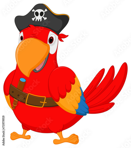 Pirate parrot cartoon