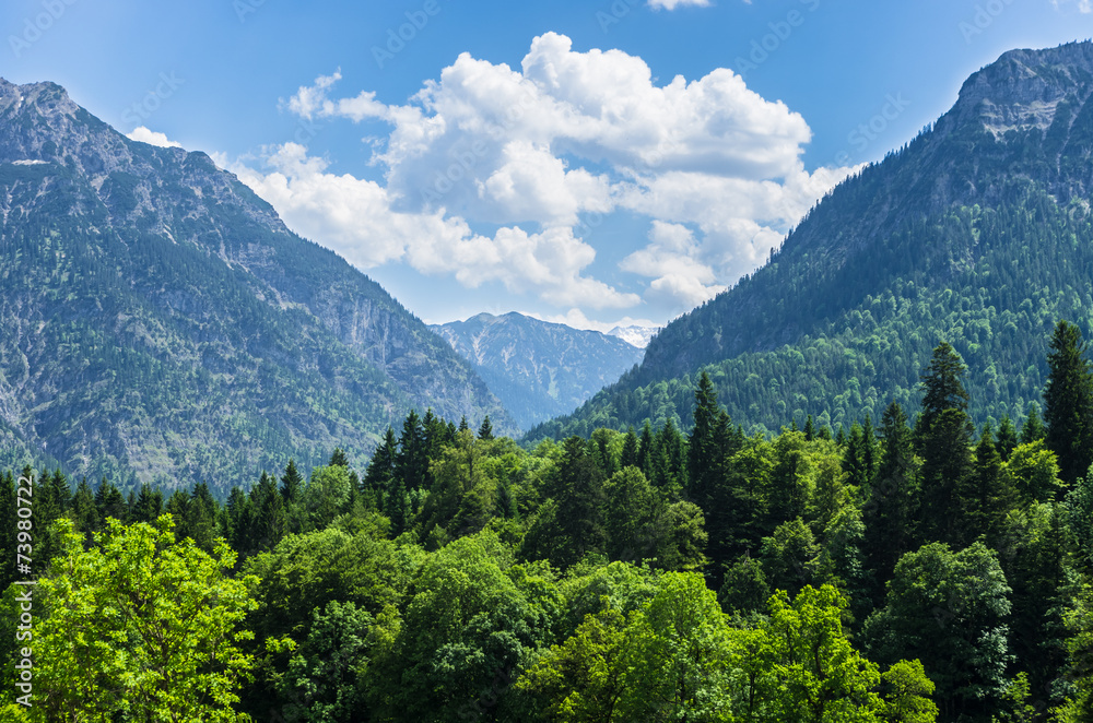 Mountainous landscape in summer in Germany.