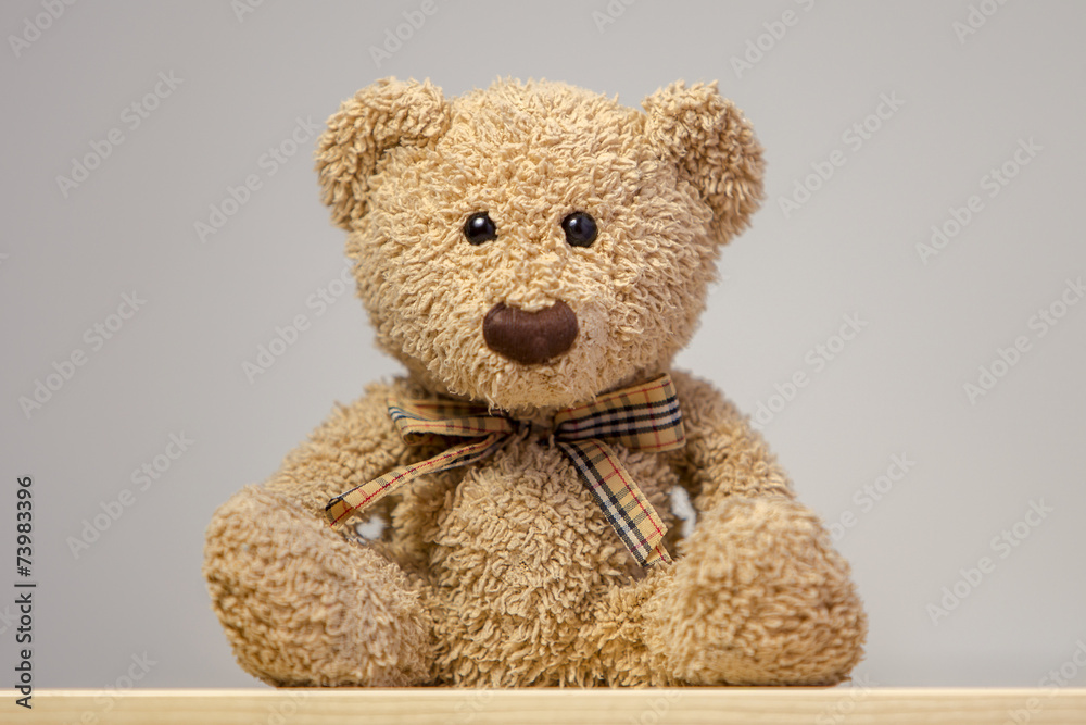 Obraz premium Teddy bear sitting