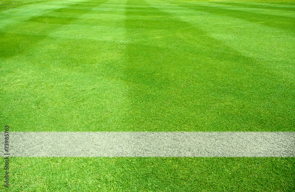 Obraz premium Soccer Field
