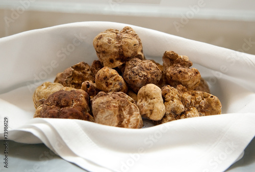Italian white truffles