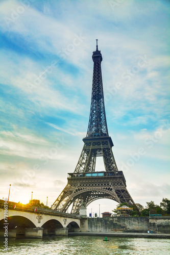 Paris cityscape with Eiffel tower #73986594