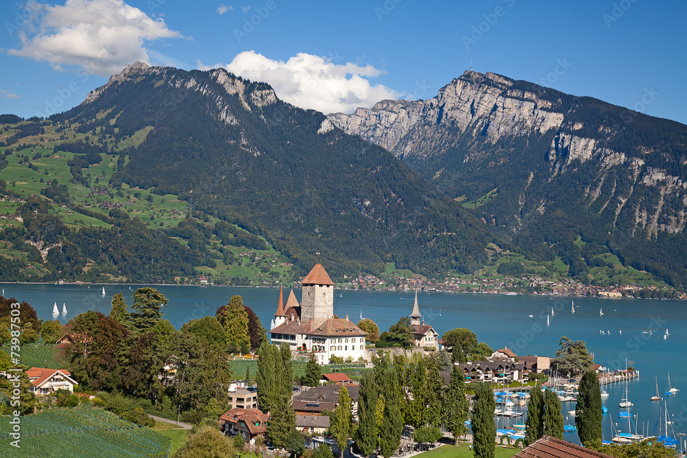 Fototapeta premium Spiez castle