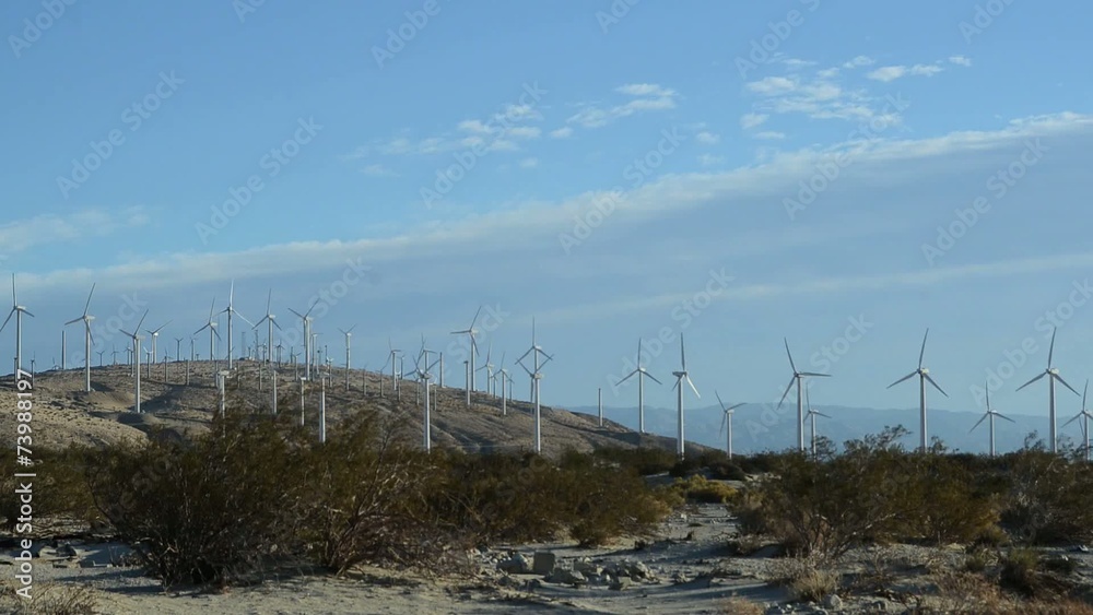 Windmill Farm Windmill Farm