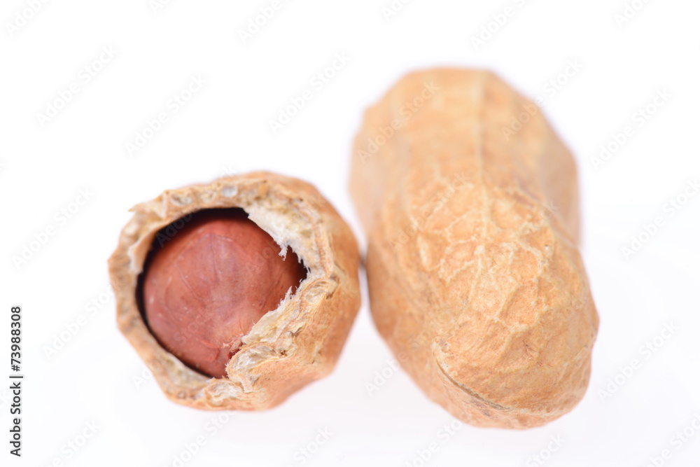 Erdnüsse Erdnüsse