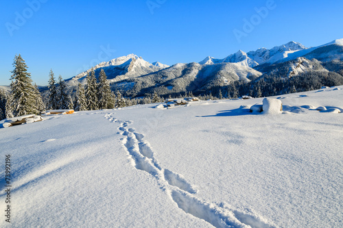 Winter landscape of Rusinowa polana, Tatra Mountains, Poland © pkazmierczak