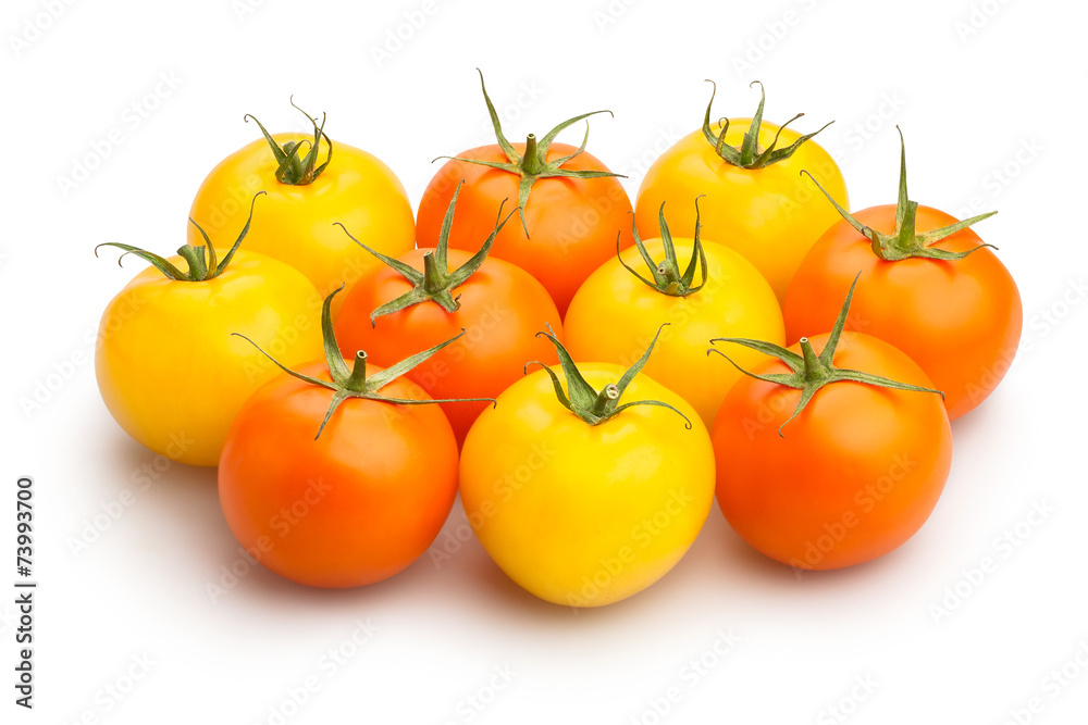 tomatoes tomatoes