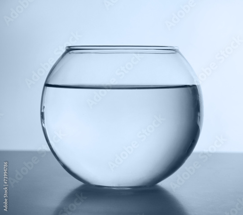 Fish bowl isolated on white