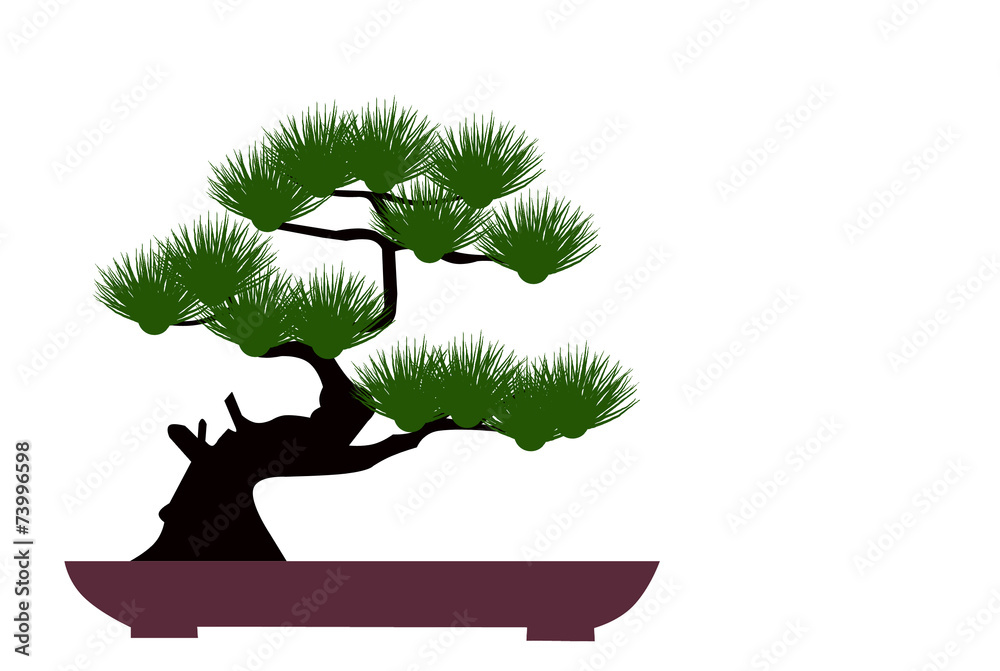 Fototapeta bonsai silhouette