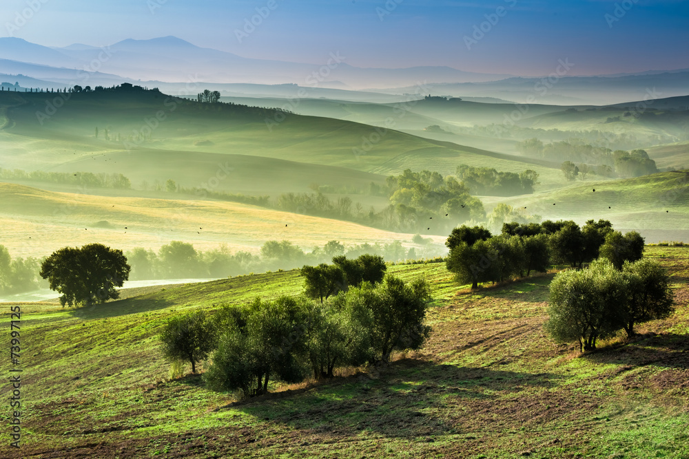 Fog in the valley at sunrise, Tuscany