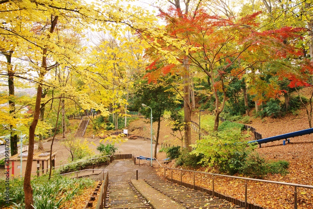 秋の公園 秋の公園