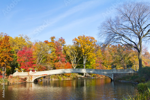 Bow Bridge in Central Park, New York City © deberarr