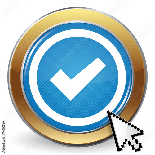 VALIDATION ICON