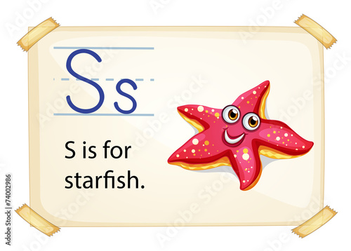 A letter S for starfish
