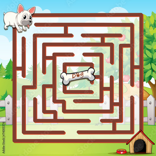 Maze